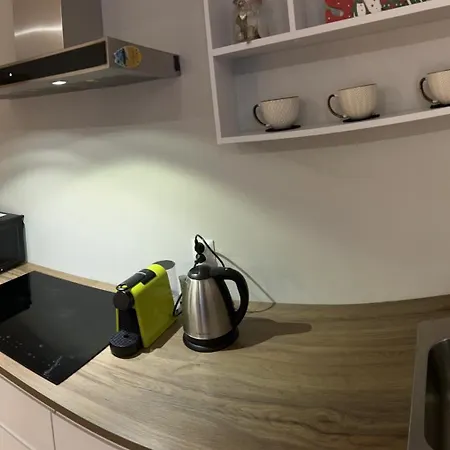 Zamkowy Appartamento Będzin