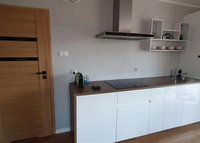 Z Widokiem Na Zamek 10 Min Od Katowic * Będzin