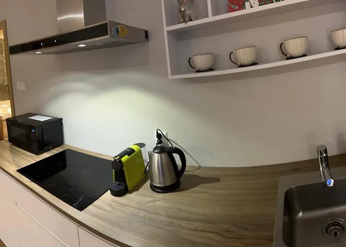 Z Widokiem Na Zamek 10 Min Od Katowic Apartmán Będzin