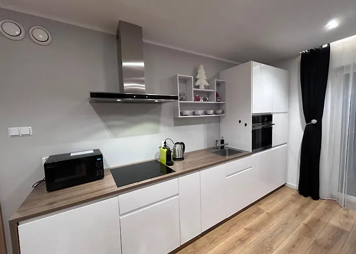 Z Widokiem Na Zamek 10 Min Od Katowic Będzin